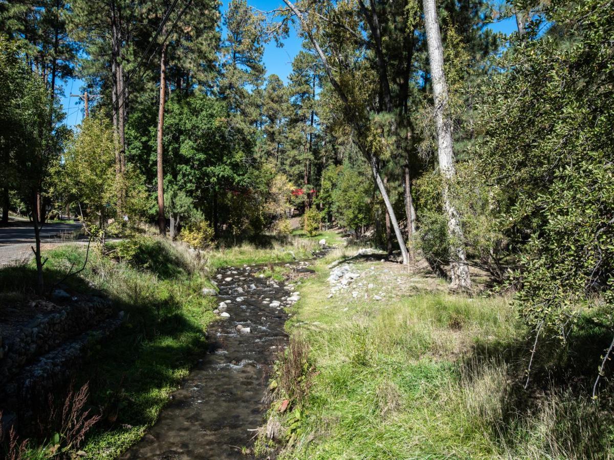 Apache Village 4, King Studio, Midtown, Sleeps 2 Ruidoso Exteriér fotografie